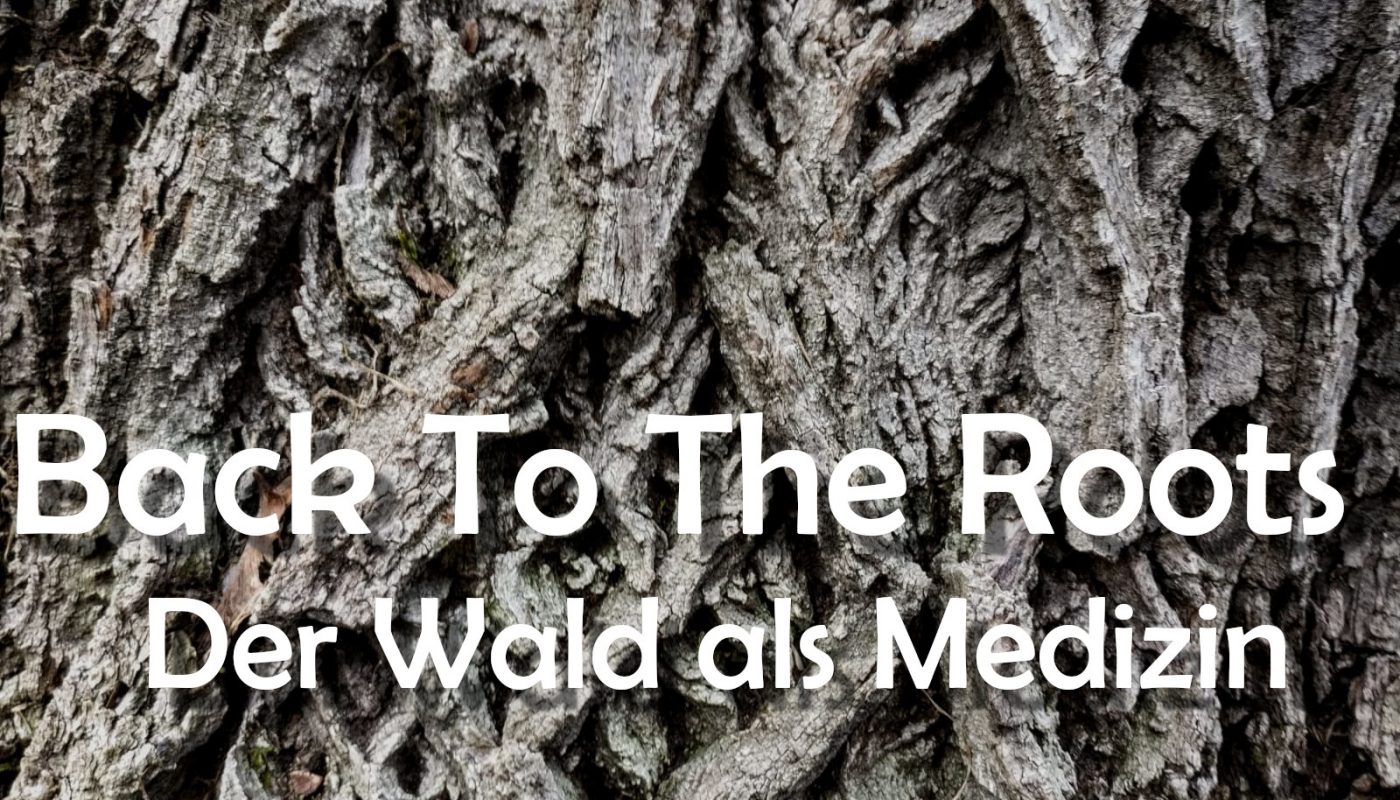 Radiofeature "Back To The Roots - Der Wald als Medizin"